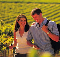 Tinlins Wines Pty Ltd - Lightning Ridge Tourism