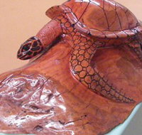 Ants Redgum Gallery - Lightning Ridge Tourism