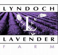 Lyndoch Lavender Farm and Cafe - Lightning Ridge Tourism