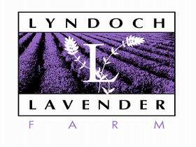 Lyndoch Lavender Farm And Cafe - Lightning Ridge Tourism 0