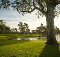 Serafino Wines - Lightning Ridge Tourism