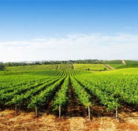 Aldinga Bay Winery - Lightning Ridge Tourism