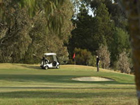 Roseworthy SA Lightning Ridge Tourism