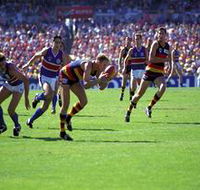 AAMI Stadium Tours - Lightning Ridge Tourism
