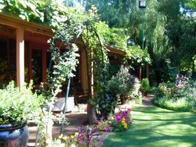 Rainforest Retreat - Lightning Ridge Tourism 0
