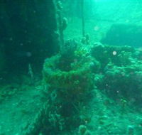 Wallaroo Scuba Club - Lightning Ridge Tourism
