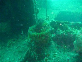 Wallaroo Scuba Club - Lightning Ridge Tourism 0
