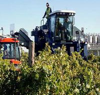 Ballast Stone Estate Wines Pty Ltd - Lightning Ridge Tourism