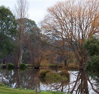 Gemtree Wetlands Ecotrail - Lightning Ridge Tourism