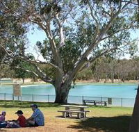 Naracoorte Nature Park and Swimming Lake - Lightning Ridge Tourism