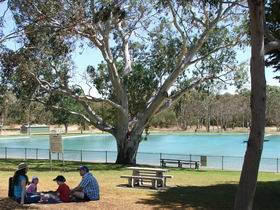 Naracoorte Nature Park And Swimming Lake - Lightning Ridge Tourism 0