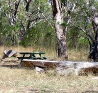 Penola Conservation Park - Lightning Ridge Tourism