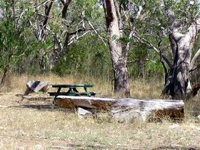 Penola Conservation Park - Lightning Ridge Tourism 0