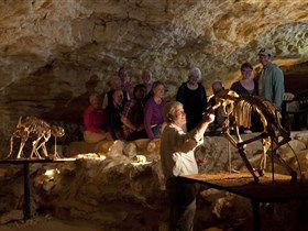 Naracoorte Caves National Park - Lightning Ridge Tourism 0