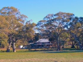 Wilpena Pound SA Lightning Ridge Tourism