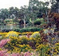 Wittunga Botanic Garden - Lightning Ridge Tourism