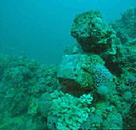 Adelaide's Underwater Heritage Trail - Lightning Ridge Tourism