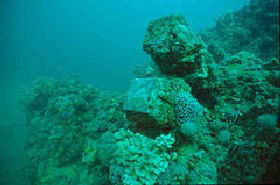 Adelaide's Underwater Heritage Trail - Lightning Ridge Tourism 0