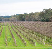 Dennis Wines - Lightning Ridge Tourism