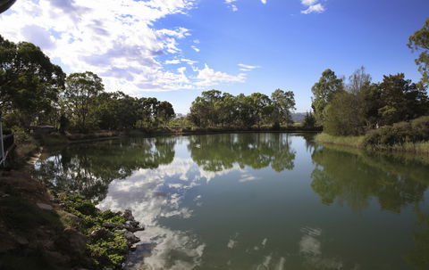 Maggie Beer's Farm Shop - Lightning Ridge Tourism 6