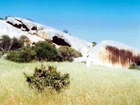 Ucontitchie Hill - Lightning Ridge Tourism 0