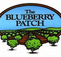 The Blueberry Patch - Lightning Ridge Tourism