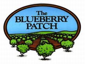 The Blueberry Patch - Lightning Ridge Tourism 0