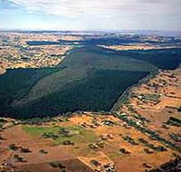 Mount Crawford Forest Reserve - Lightning Ridge Tourism