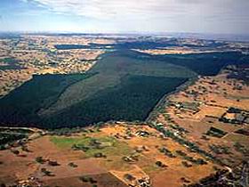 Mount Crawford Forest Reserve - Lightning Ridge Tourism 0