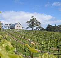 Bruny Island Premium Wines Bar and Grill - Lightning Ridge Tourism