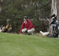 Tasmania Golf Club - The - Lightning Ridge Tourism