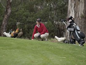 Tasmania Golf Club - The - Lightning Ridge Tourism 0