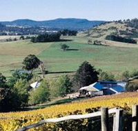Freycinet Vineyards Pty Ltd - Lightning Ridge Tourism