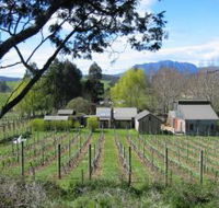 Wilmot Hills Vineyard - Lightning Ridge Tourism