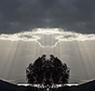 aart. Gallery of Fine Art - Lightning Ridge Tourism