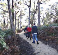 Bridport Walking Track - Lightning Ridge Tourism