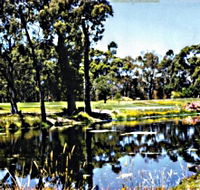 Smithton Country Club - Lightning Ridge Tourism
