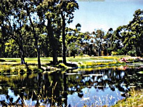 Smithton Country Club - Lightning Ridge Tourism 0
