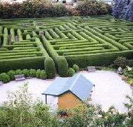 Westbury Maze and Tea Room - Lightning Ridge Tourism