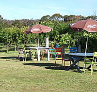 Cerise Brook Orchard  Family Golf - Lightning Ridge Tourism