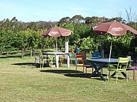 Cerise Brook Orchard & Family Golf - Lightning Ridge Tourism 0