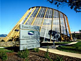 Jetsonville TAS Lightning Ridge Tourism
