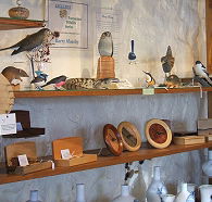 Touchwood Craft Gallery Gifts and Cafe - Lightning Ridge Tourism