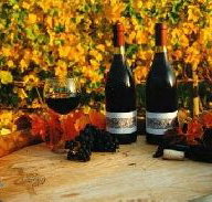 Craigow Vineyard - Lightning Ridge Tourism