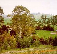 The Tasmanian Arboretum - Lightning Ridge Tourism