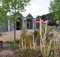 Tin Dragon Interpretation Centre and Cafe - Lightning Ridge Tourism