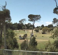 Greens Beach Golf Course - Lightning Ridge Tourism