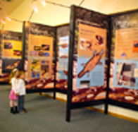 Platypus Experience - Lightning Ridge Tourism