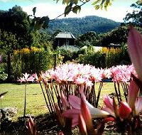 Blueberry Cottage Open Gardens - Lightning Ridge Tourism