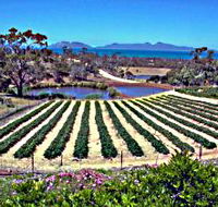 Kate's Berry Farm - Lightning Ridge Tourism